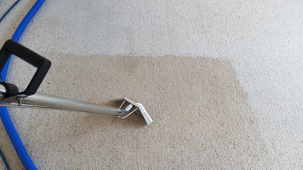 Hot water extraction wand deep cleaning carpet in an Apex, NC home, showing a visibly cleaner lane