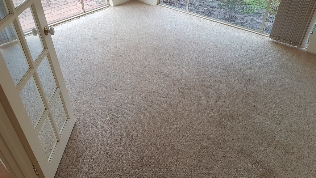 Carpet Cleaning in Apex, NC