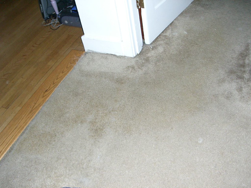 Carpet Water Extraction & Drying in Apex, NC
